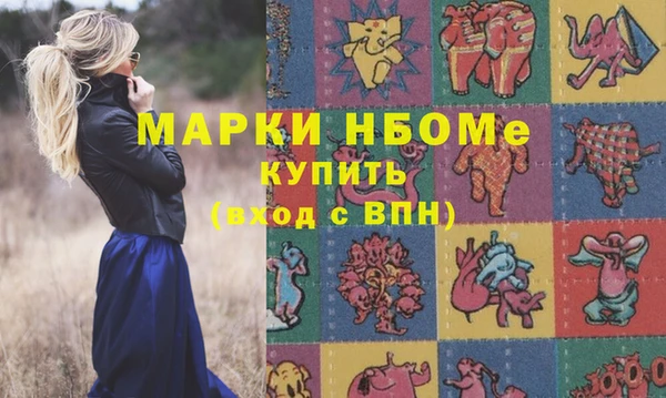 прущие грибы Костерёво