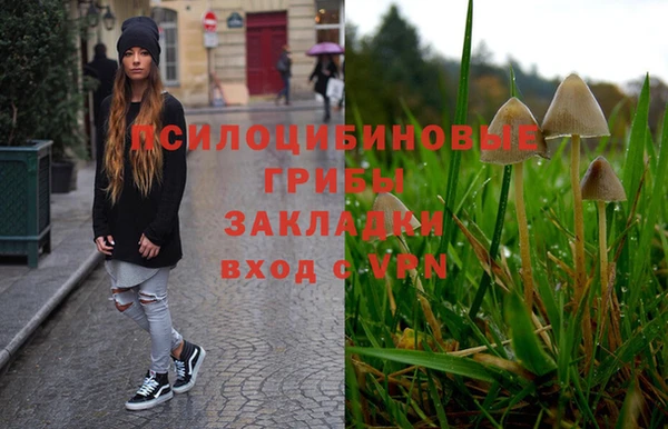 спайс Лагань
