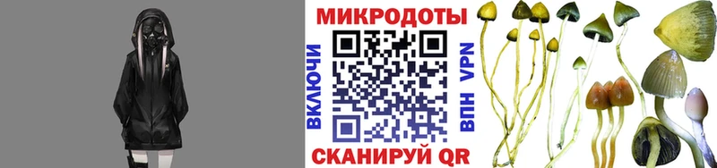 Галлюциногенные грибы ЛСД  blacksprut как войти  Старый Крым 